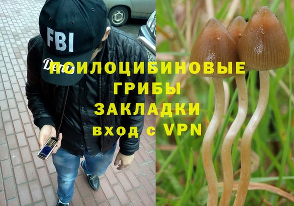 спиды Абдулино