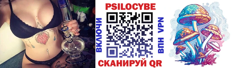 купить наркоту  Сычёвка  Псилоцибиновые грибы Magic Shrooms 